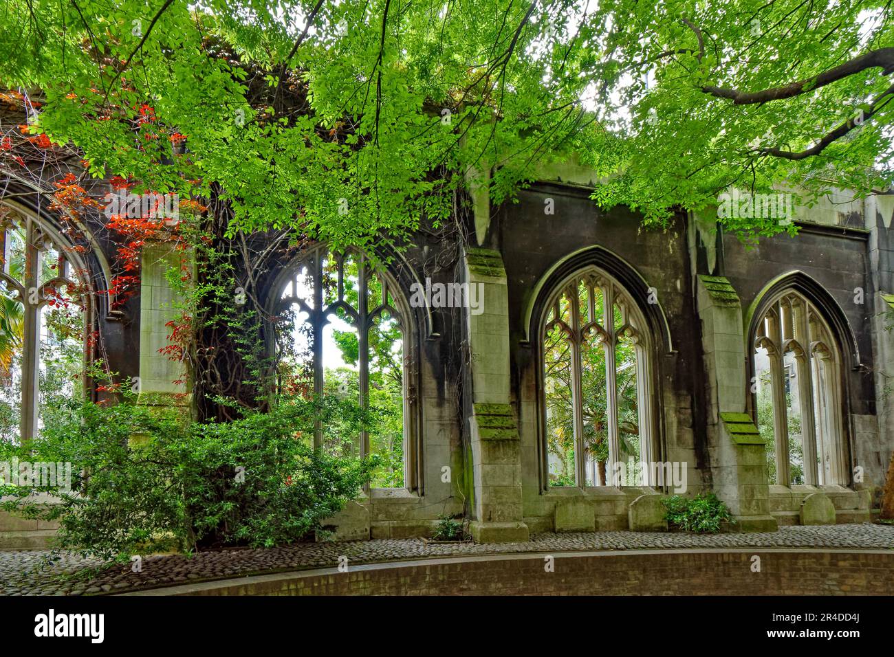 London St Dunstans Hill et St Dunstan dans le jardin de l'église de l'est mur d'église avec de grandes fenêtres arbres et des crevers colorés au printemps Banque D'Images