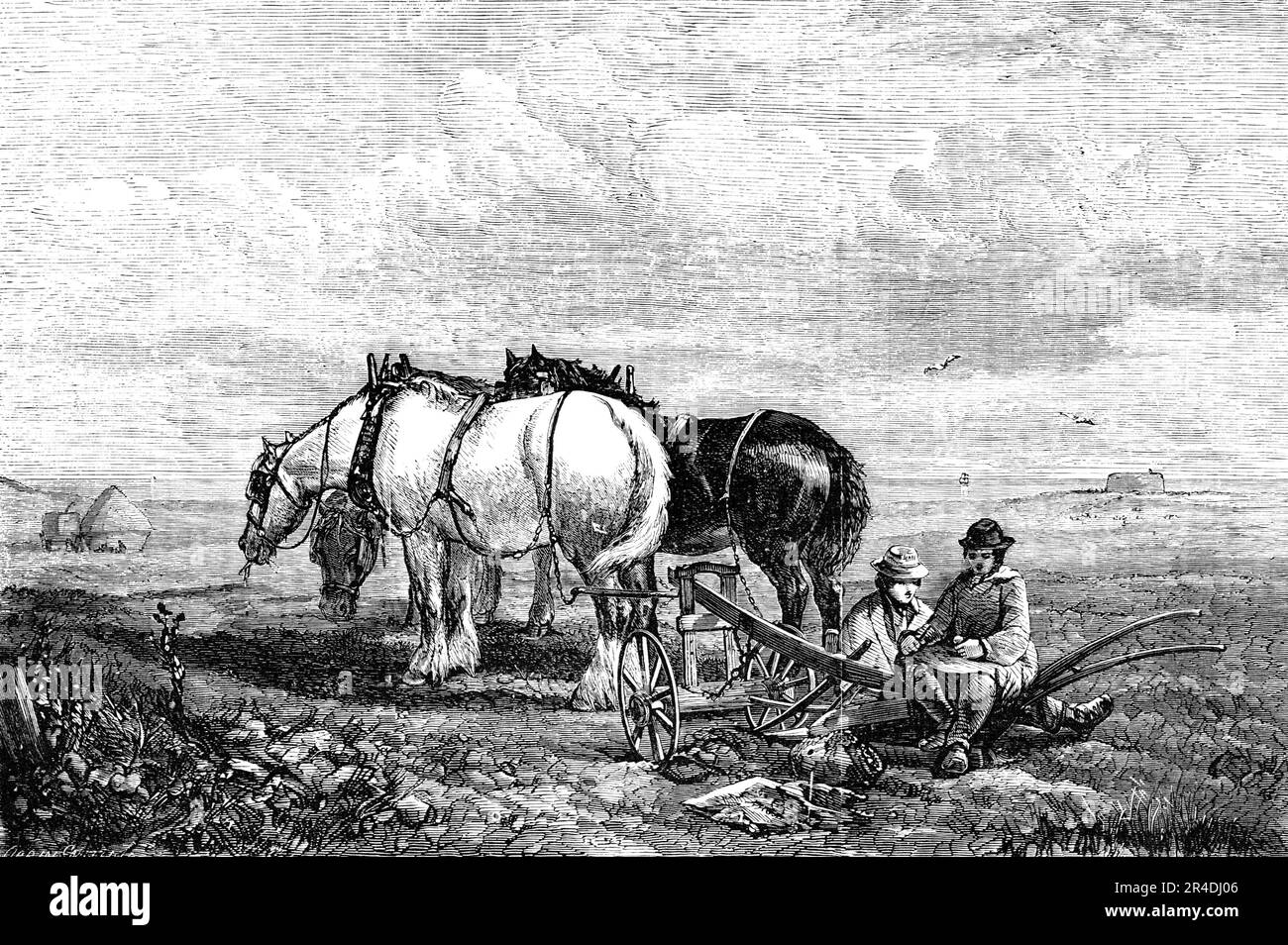 "Le repas de mi-journée" - peint par H. B. Willis - de l'exposition de l'institution nationale, 1856. Gravure d'une peinture. « Le repas de mi-journée » de M. Brittan Willis, à la Portland Gallery, est une photo qui fera regarder M. Sydney Cooper à son sujet. La scène est un champ ouvert sur la côte de Sussex, le temps (bien sûr) à mi-journée, le temps beau et sain, les personnels des boys, et les bovins comme Sussex mélangé avec la race Suffolk; les chevaux sont réalistes, et tout l'effet est très agréable". De "Illustrated London News", 1856. Banque D'Images