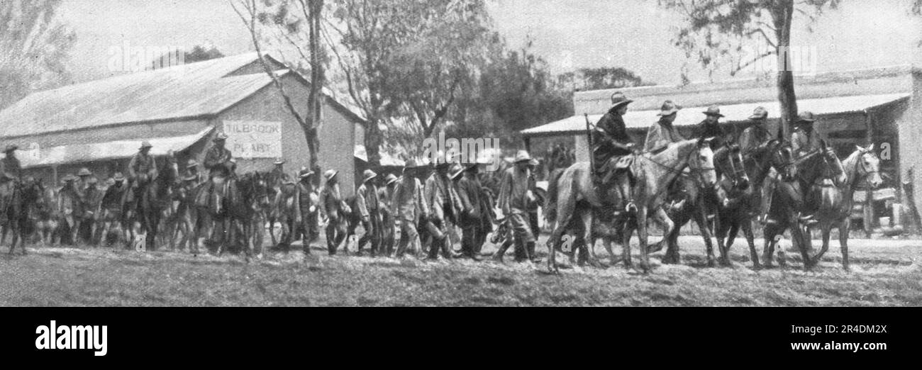 ''en Afrique, une rébellion de chefs Boers; les derniers rebonds du commando de Wet, conduits sous escorte a Wryburg apres leur capture, le !er decembre 1914', 1914. De "l'Album de la guerre 1914-1919, Volume I" [l'Illustration, Paris, 1924]. Banque D'Images