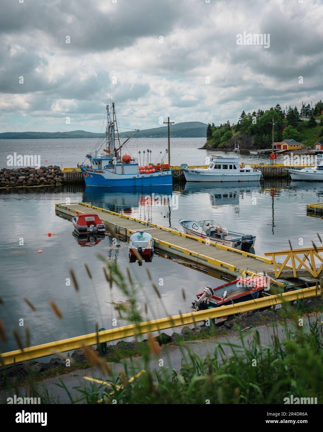 Vue sur les bateaux dans le port de Dildo, Terre-Neuve-et-Labrador, Canada Banque D'Images