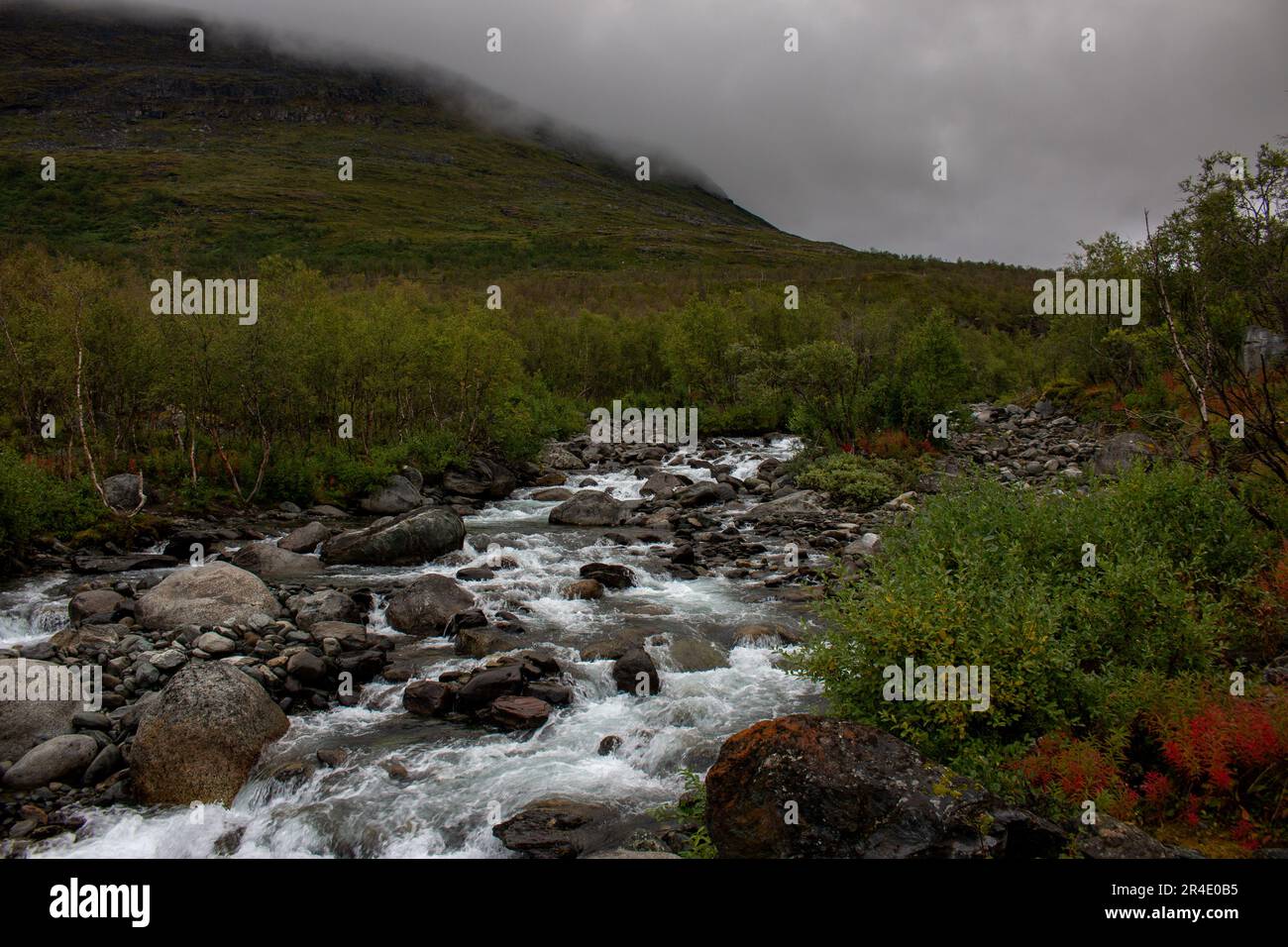 Sentier de randonnée Kungsleden entre Abiskojaure et les cabanes de montagne d'Alesjaure fin août, Laponie, Suède Banque D'Images