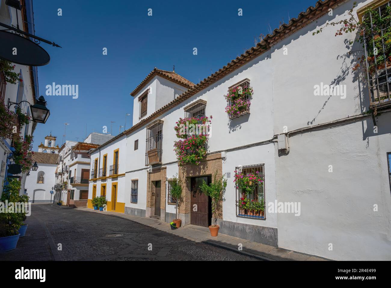 Rues de San Basilio - Cordoue, Andalousie, Espagne Banque D'Images