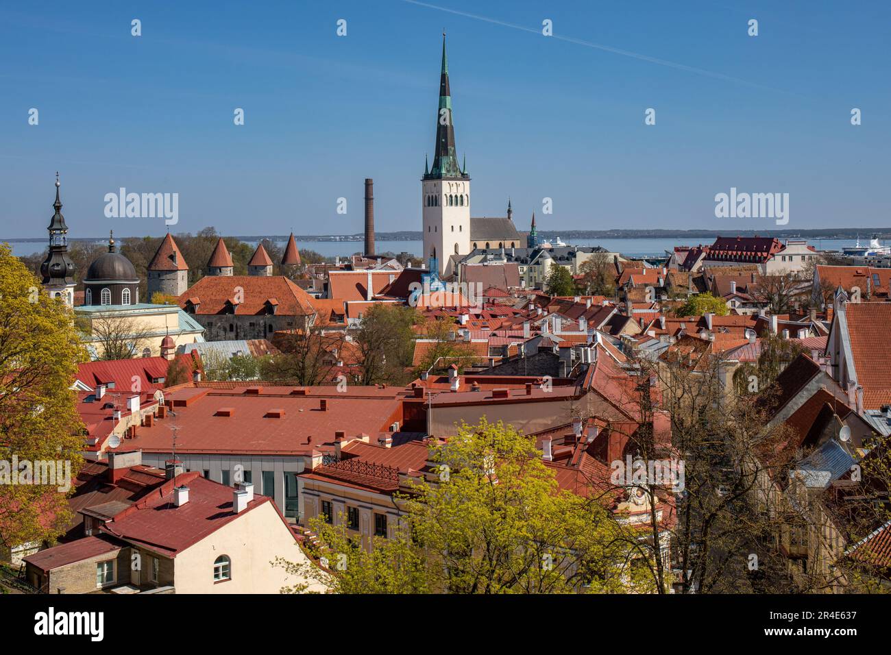 Vue aérienne sur les toits de Vanalinn ou de la vieille ville vue depuis Kohtuotsa vaateplats ou point d'observation à Tallinn, Estonie Banque D'Images