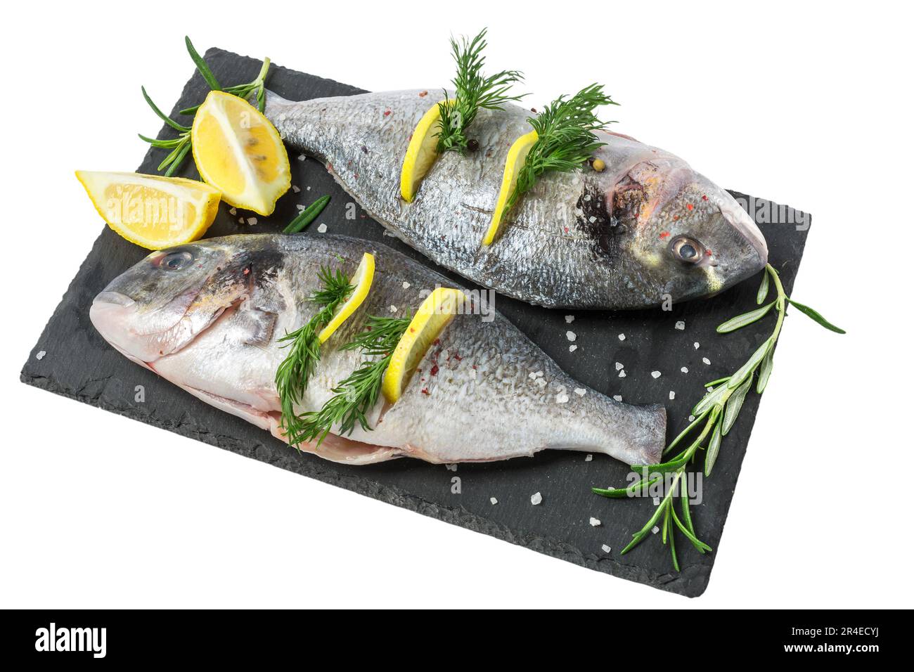 Poisson frais dorado et ingrédients pour la cuisine. Poisson gouté cru de la dorade de mer avec des épices et des herbes sur ardoise noire isolée Banque D'Images