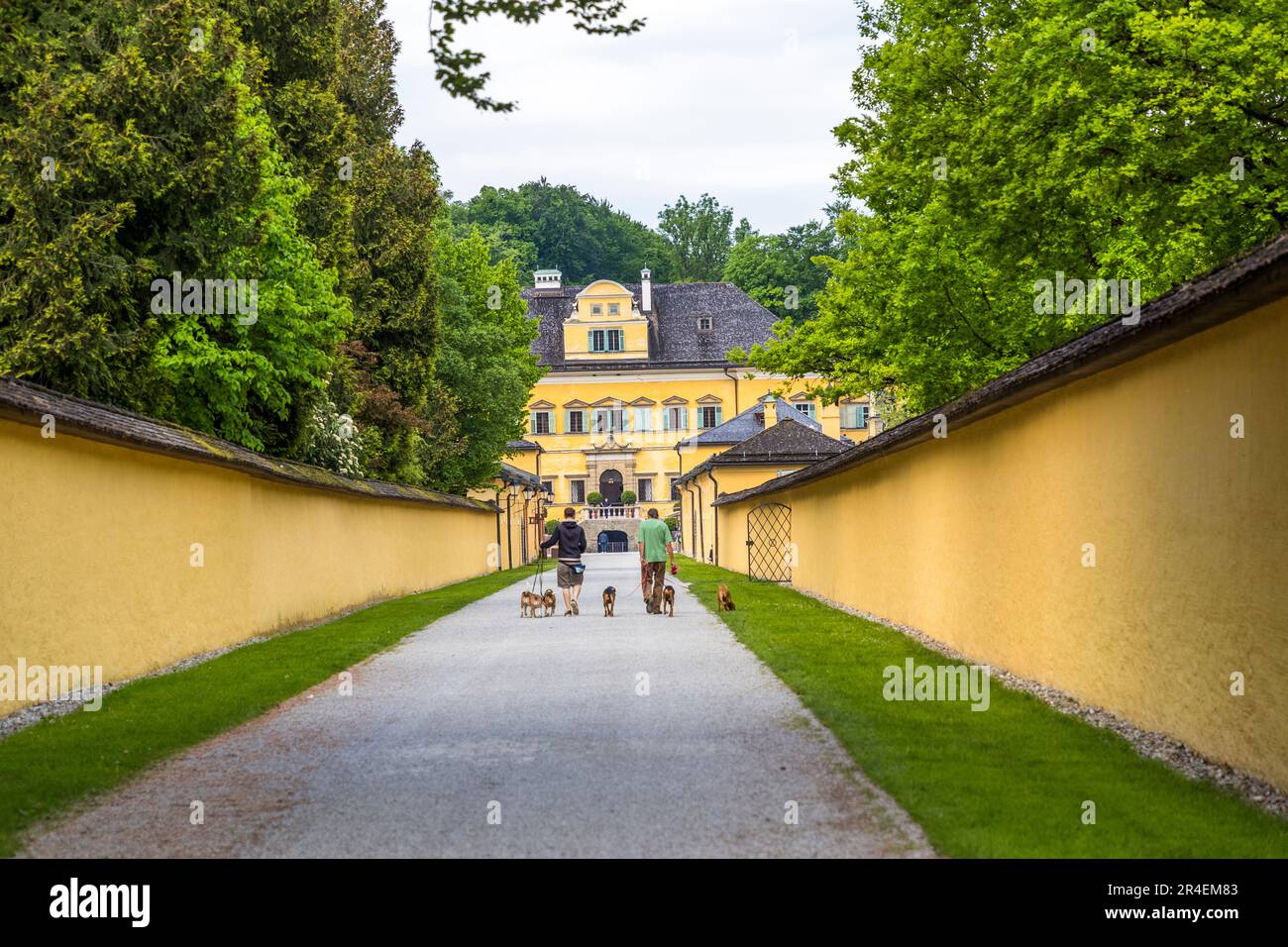 Chiens sur le chemin du palais Hellbrunn à Salzbourg, Autriche Banque D'Images