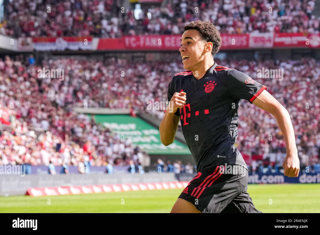 Cologne, Allemagne. 27th mai 2023. COLOGNE, ALLEMAGNE - 27 MAI: Jamal Musiala du FC Bayern Munchen célèbre après avoir marqué ses côtés deuxième but pendant le match de Bundesliga entre 1. FC Koln et FC Bayern Munchen au RheinEnergieStadion on 27 mai 2023 à Cologne, Allemagne (photo de René Nijhuis/Orange Pictures) crédit: Orange pics BV/Alay Live News Banque D'Images