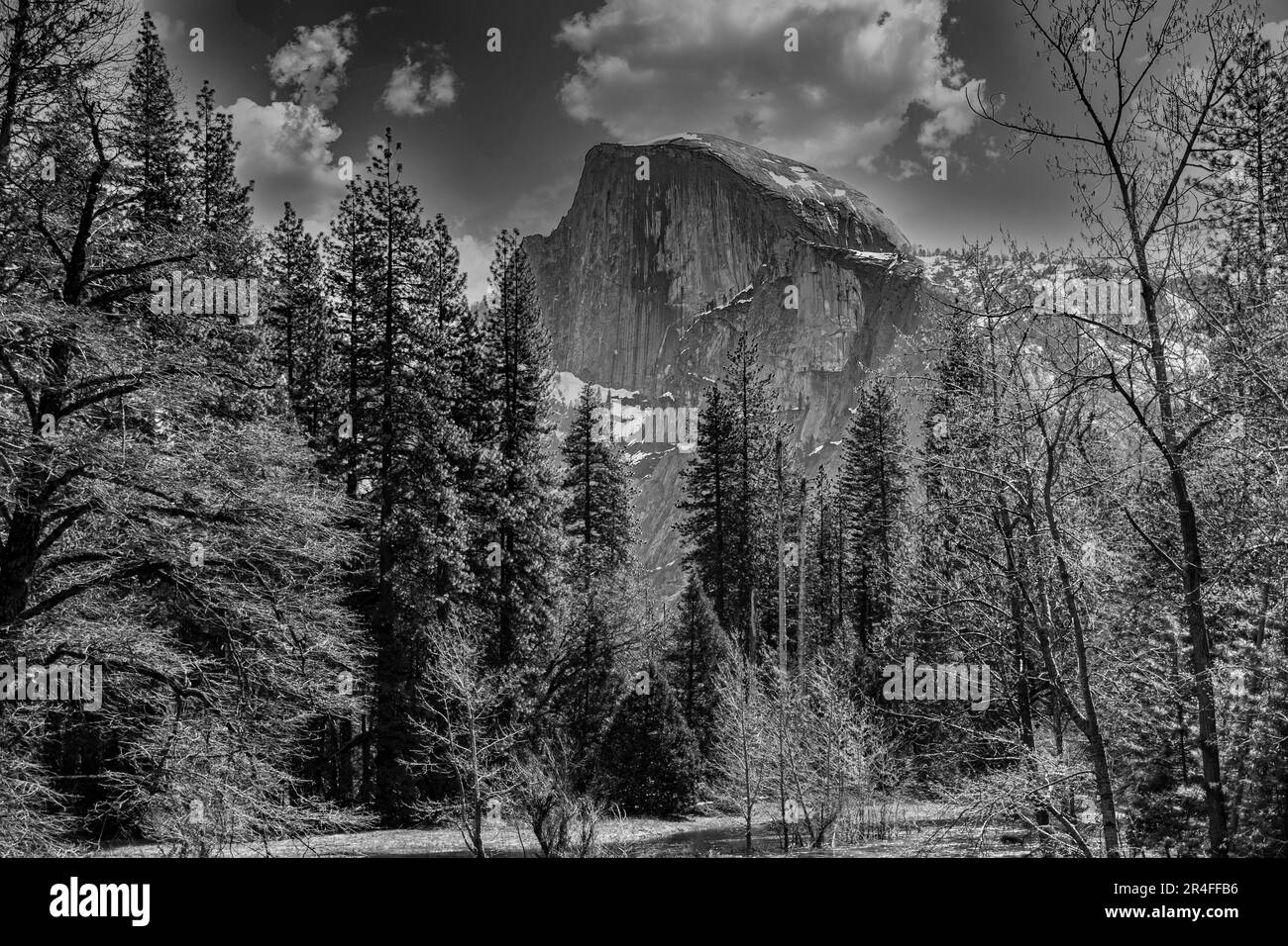Half Dome à Springtime dans le parc national de Yosemite Banque D'Images