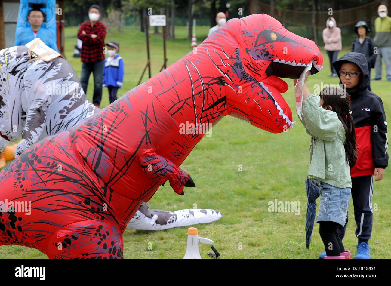 Toa Dinosaur Races Participants wearing Tyrannosaurus costumes take part in dinosaur race ...