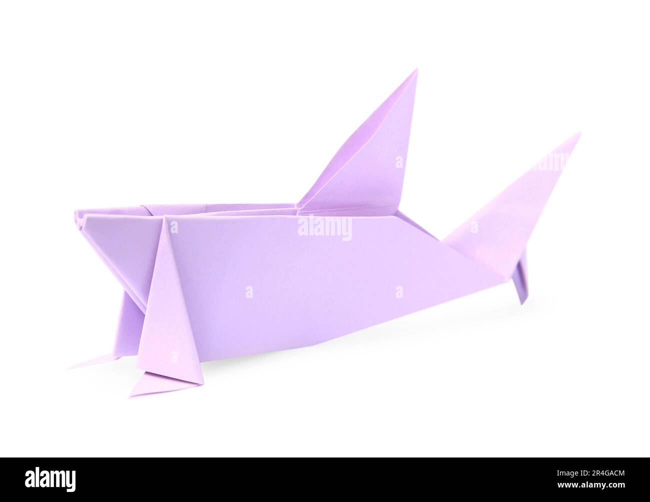 Carte Requin Banque D images D tour es Alamy Carte Requin Banque D images D tour es Alamy
