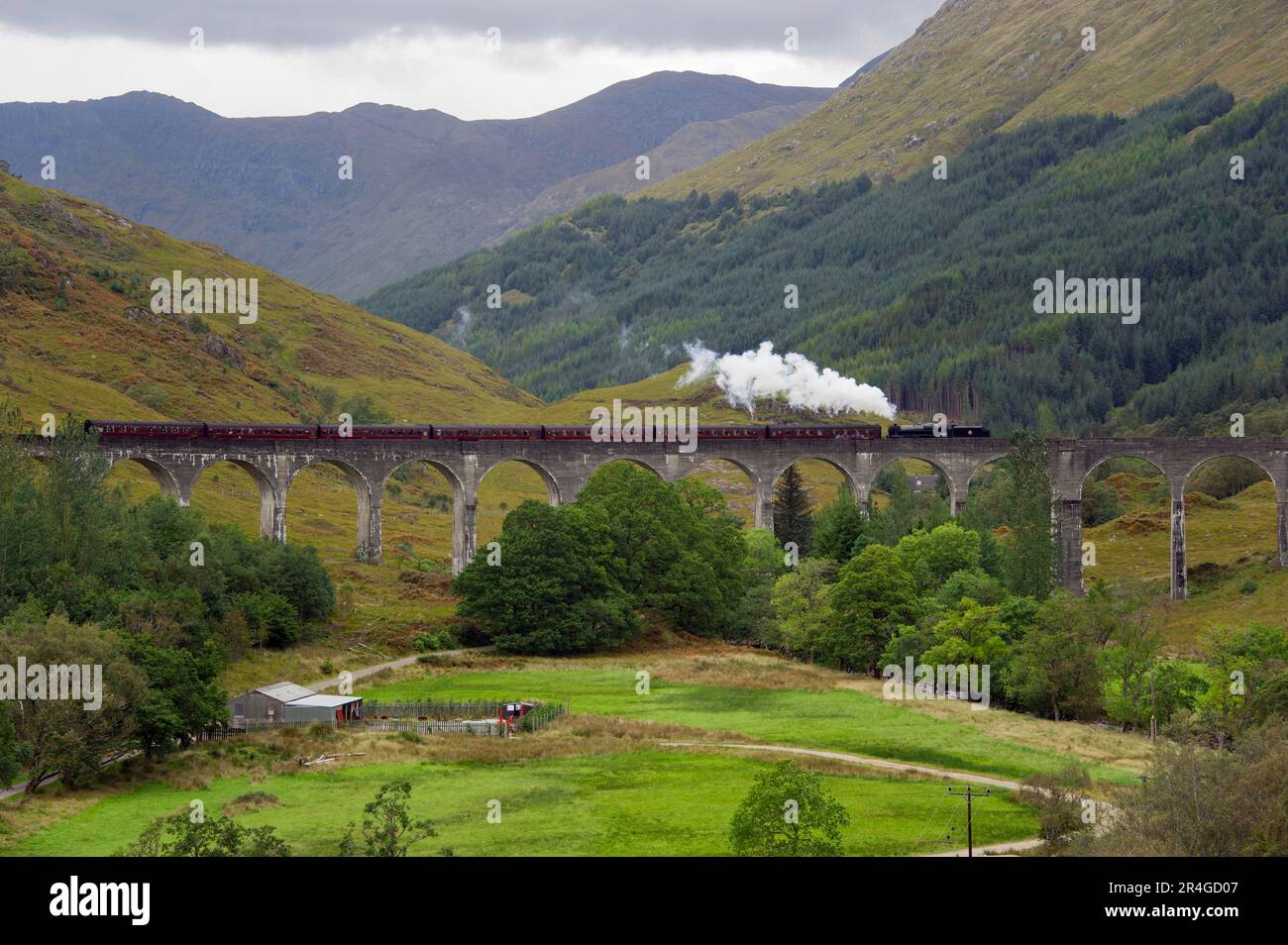 Steam Railway, Railway Viaduct, Glenfinnan, Highland, Écosse, Musée train, le Jacobite, Harry Potter, Glenfinnan Viaduct Banque D'Images