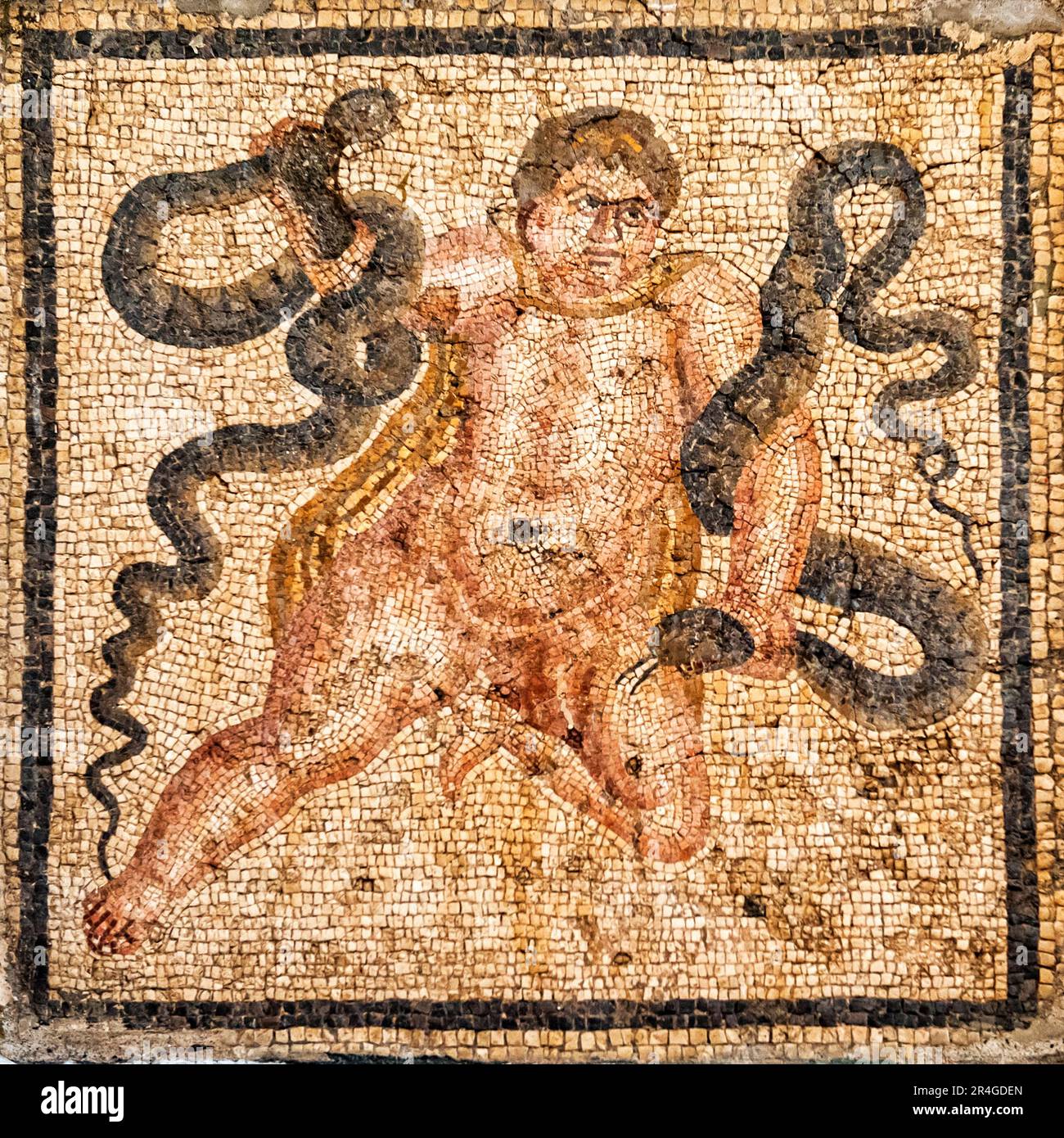 Mosaic, 2nd Century AD, Musée archéologique, Antioche, serpents de pêche à la ligne des heracles, Musée archéologique de Hatay, Antakya, Hatay, Turquie Banque D'Images