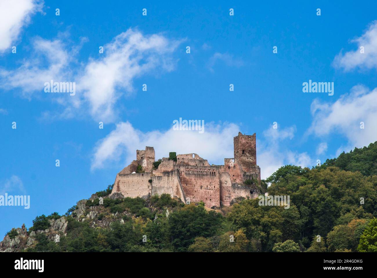 Ruine des Ulrichsburg, Ribeauville, Haut-Rhin, Alsace, Château de Saint Ulrich, Rappoltsweiler, France Banque D'Images