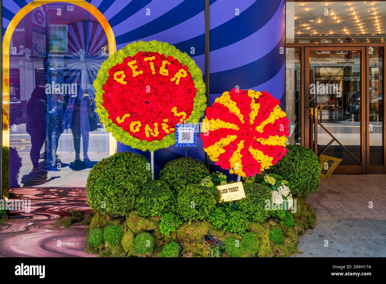 LONDRES, Royaume-Uni - 26 MAI 2023 : une exposition florale spectaculaire faite de fleurs fraîches décore la fenêtre du magasin Peter Jones à Chelsea pendant Chelsea à Bloom Banque D'Images