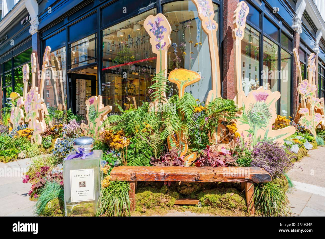 LONDRES, Royaume-Uni - 26 MAI 2023 : des expositions florales spectaculaires pour le spectacle floral annuel de Chelsea in Bloom transforment les rues de Chelsea Banque D'Images
