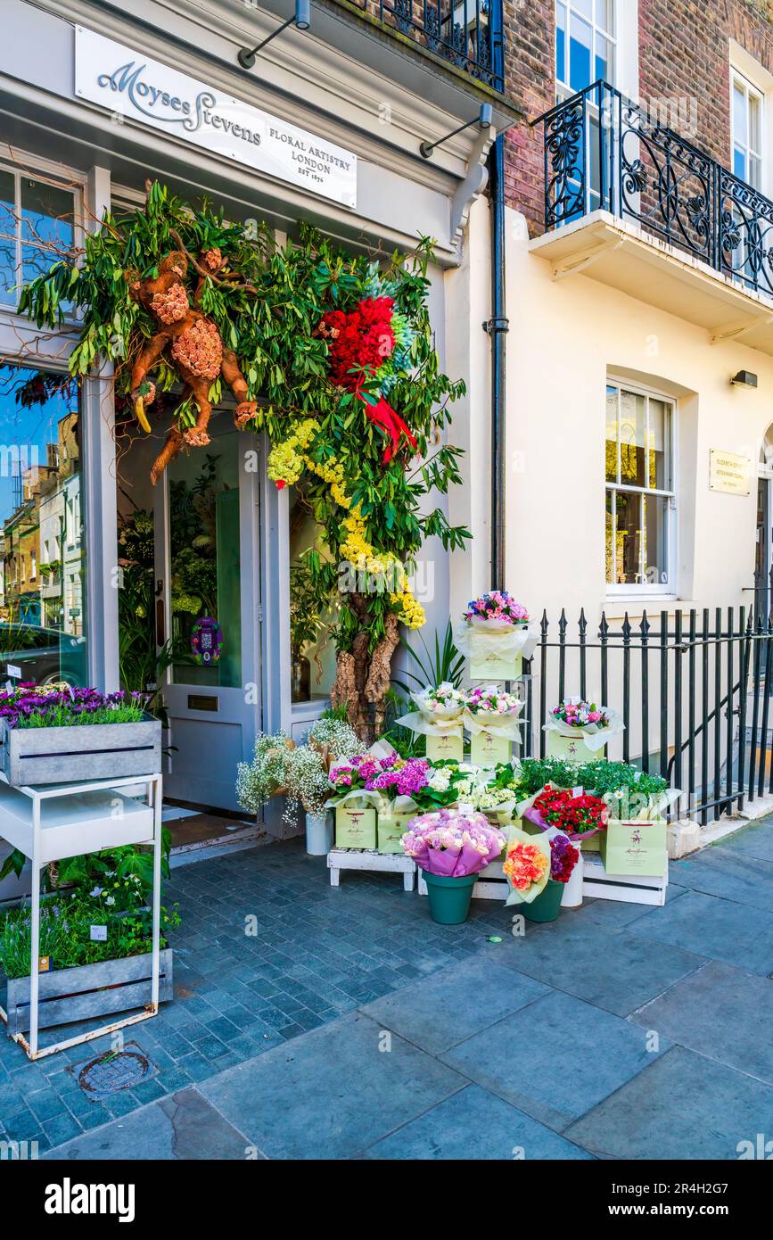LONDRES, Royaume-Uni - 26 MAI 2023 : une exposition florale spectaculaire décore la fenêtre d'une boutique à Chelsea pendant le spectacle floral annuel de Chelsea à Bloom à Londres Banque D'Images