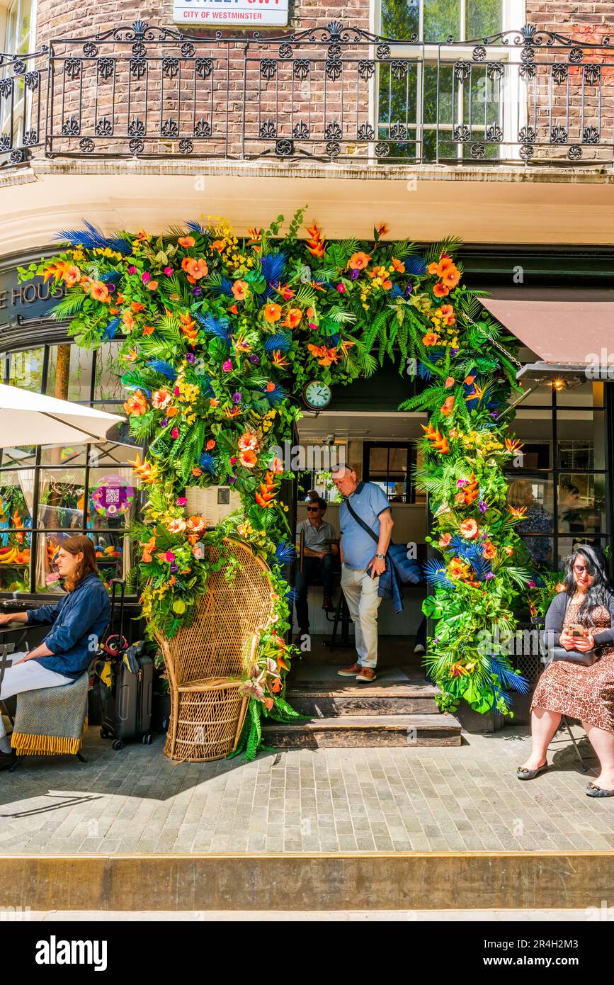LONDRES, Royaume-Uni - 26 MAI 2023 : une exposition florale spectaculaire décore la fenêtre d'un café à Chelsea pendant le spectacle floral annuel de Chelsea in Bloom Banque D'Images