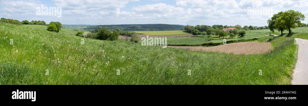 Magnifique paysage vallonné avec vue sur la vallée de la Gulp ('Gulpdal') près du village de Limbourg de Slenaken aux pays-Bas. Écran large Banque D'Images