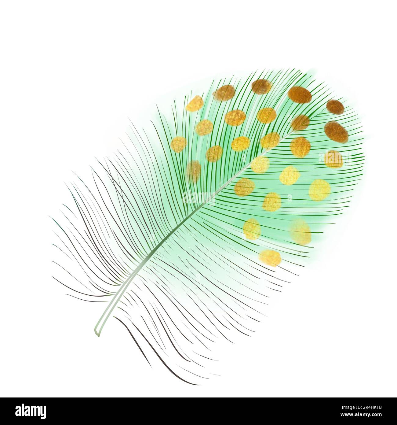 Plume vert aquarelle. Plume d'oiseau douce et duvet. Élément dessiné à la main pour l'emballage, l'étiquette, le logo, le design d'icône. Symbole de luminosité. Isolé sur Banque D'Images