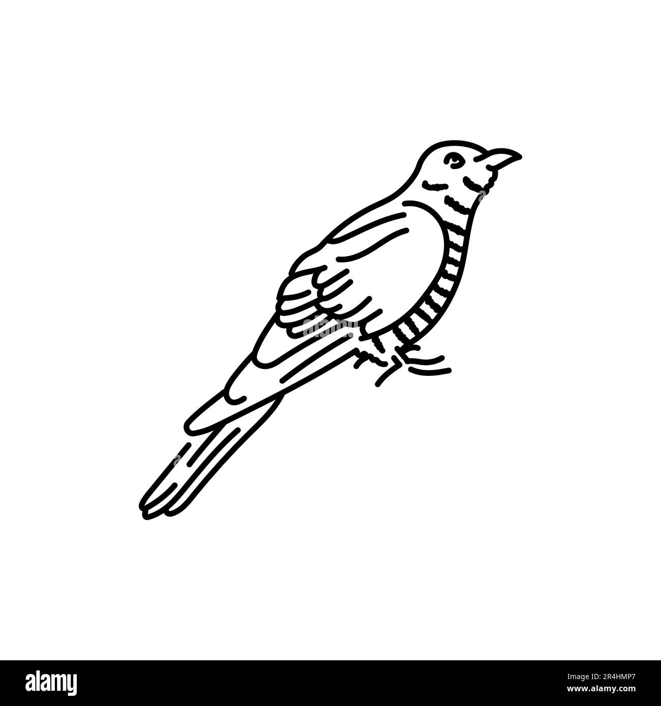 Icône de la ligne noire de l'oiseau Cuckoo. Pictogramme pour page Web, application mobile, Promo. Illustration de Vecteur