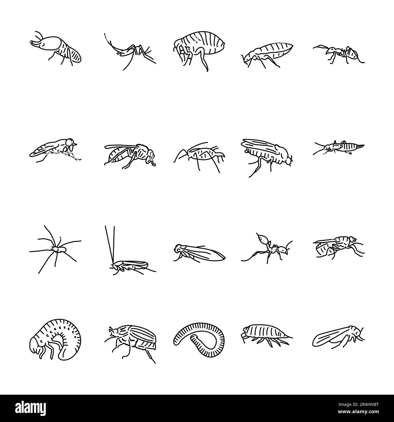 Icône de la ligne noire des insectes nuisibles. Illustration de Vecteur