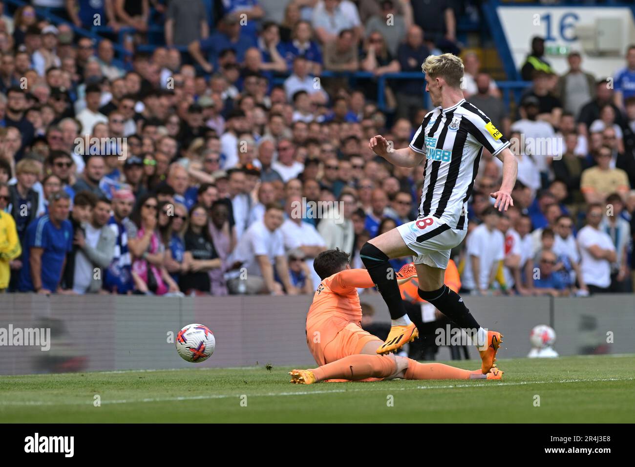 Londres, Royaume-Uni. 28th mai 2023. LE BUT Anthony Gordon de Newcastle United ouvre le score lors du match de Chelsea contre Newcastle United Premier League à Stamford Bridge London Credit: MARTIN DALTON/Alay Live News Banque D'Images