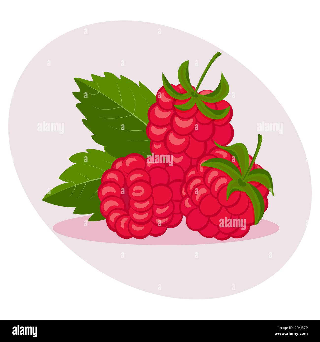 Framboises mûres fraîches, fruits d'été naturels. Alimentation biologique saine, vecteur. Illustration de Vecteur