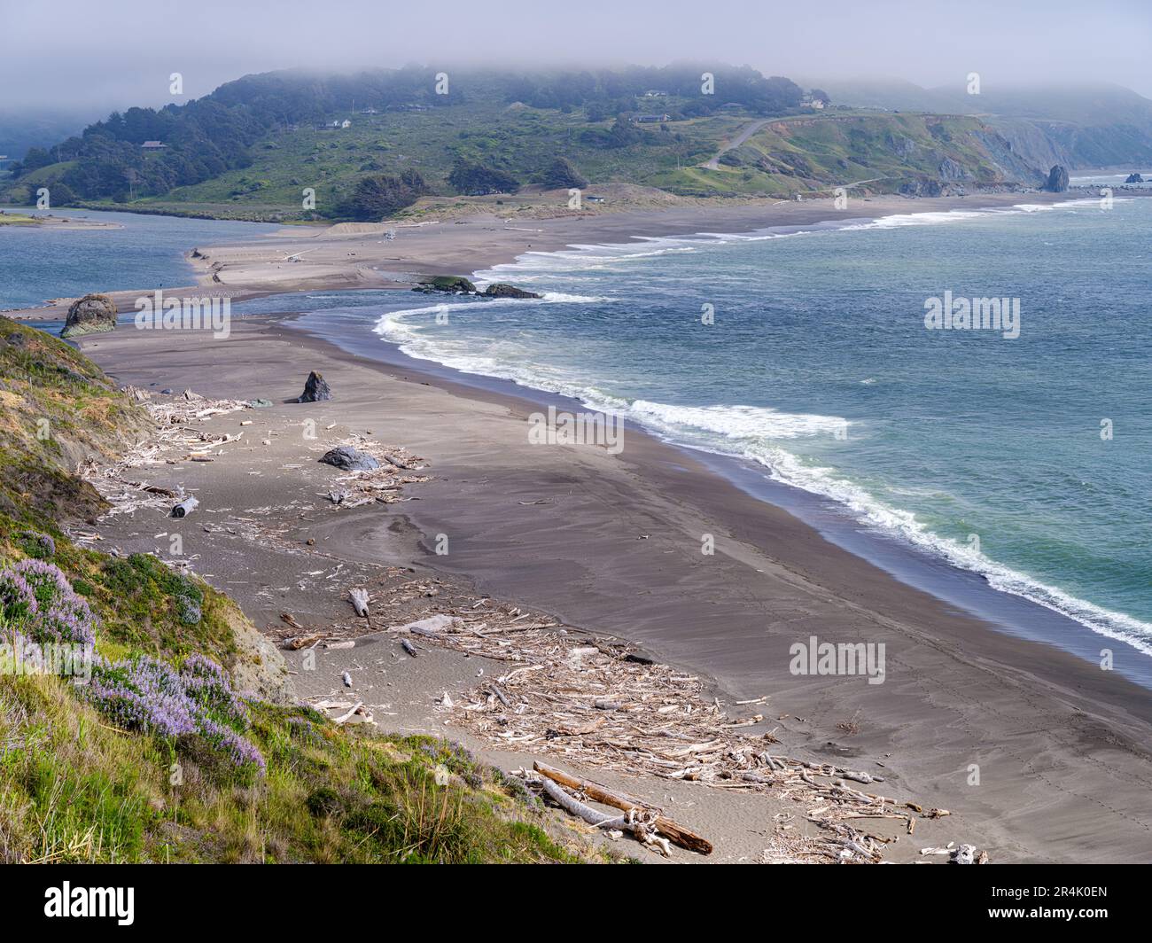 Jenner by the Sea, le fleuve russe rencontre l'océan Pacifique, et la plage est pleine de débris de bois éparpillés. Banque D'Images
