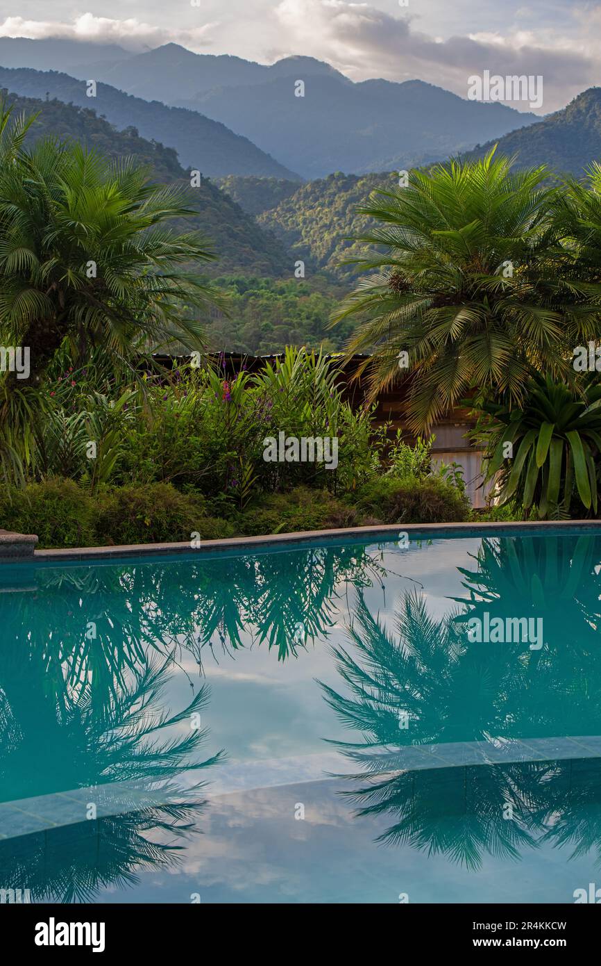 Réflexion sur la piscine avec vue sur la forêt nuageuse de Mindo, Équateur. Banque D'Images