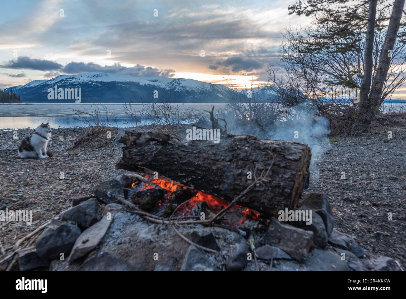 Des charbons et des feux de camp vibes au bord d'un lac avec des montagnes enneigées en arrière-plan au coucher du soleil avec un chat d'animal de compagnie en vue. Banque D'Images