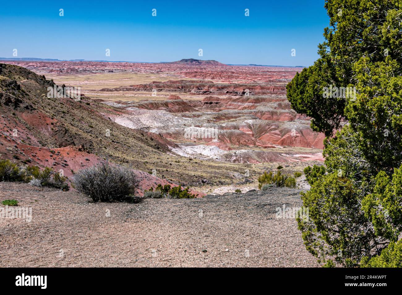 Vue sur le désert peint dans le parc national de la Forêt pétrifiée Banque D'Images