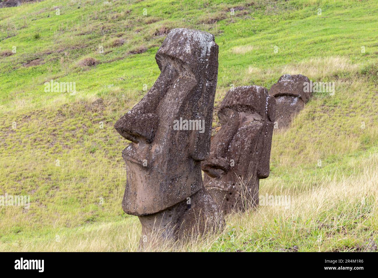 Rangée de têtes de sculpture Moai dans la vue de côté du sol, Rano Raraku Green Hillside, célèbre site du patrimoine mondial de l'UNESCO. Île de Pâques, Rapa Nui Chili Banque D'Images