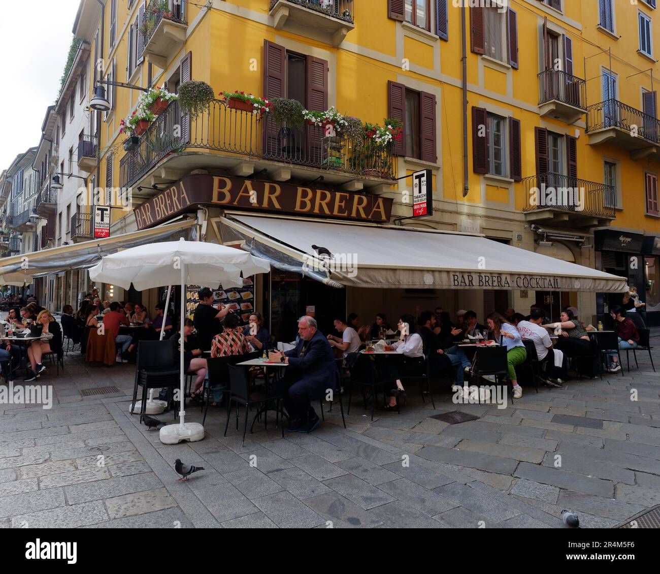 Restaurant dans le quartier chic de Brera à Milan, Lombardie, Italie Banque D'Images