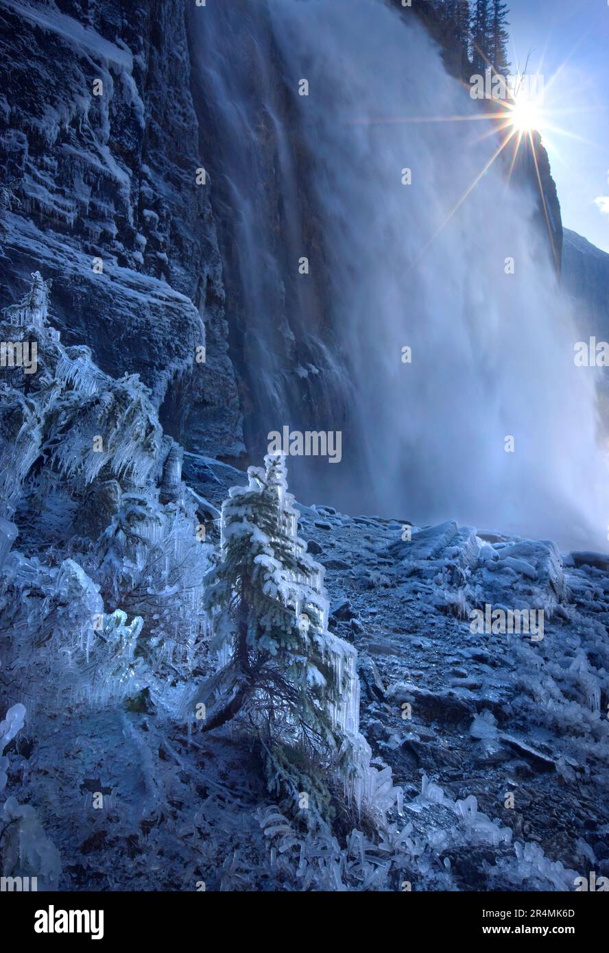 Une terre complètement enchâssée dans la glace de la pulvérisation au large des énormes chutes Emperor attend la lumière du soleil émergeant à Mt. Parc provincial Robson Banque D'Images