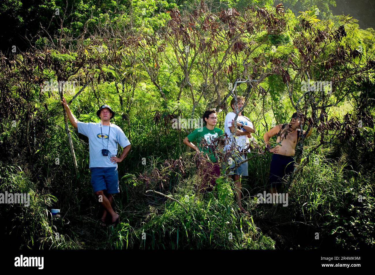 Les spectateurs regardent le surf à la grande vague Invitational d'Eddie Aikau en 25th. La plus grande houle de la rive nord pendant 10 ans a amené des vagues de 30-50 pieds à Waimea Bay, à Hawaï. Banque D'Images