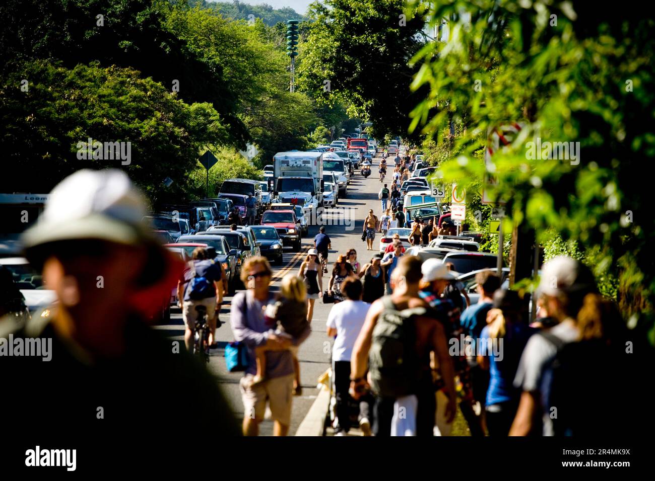 Les foules bordent l'autoroute Kamehameha pendant l'Invitational de Big Wave d'Eddie Aikau en 25th. La plus grande houle de la rive nord pendant 10 ans a amené des vagues de 30-50 pieds à Waimea Bay, à Hawaï. Banque D'Images