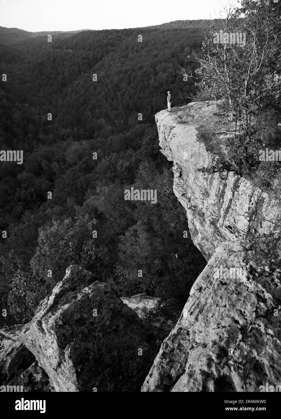 Lady debout sur une vue, Devil's Den State Park, Arkansas. (noir et blanc) Banque D'Images