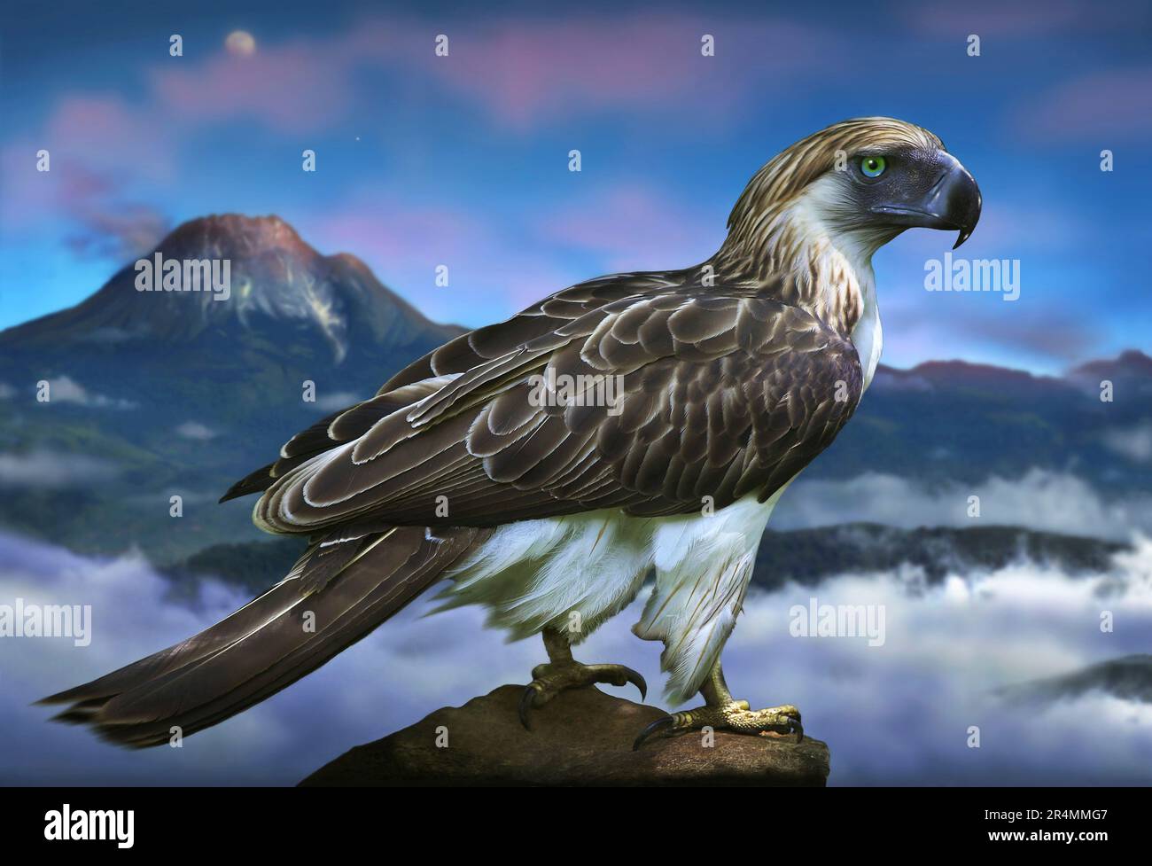 Image stylisée d'un aigle philippin sur fond de montagne spectaculaire. Banque D'Images