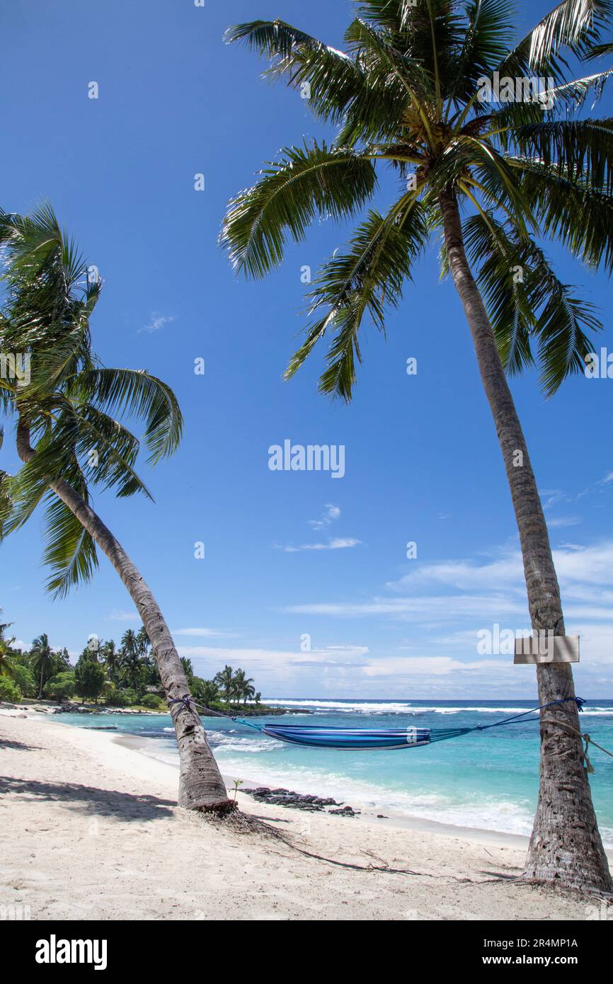Hamac bleu suspendu de deux palmiers sur une plage de sable blanc, Samoa Banque D'Images