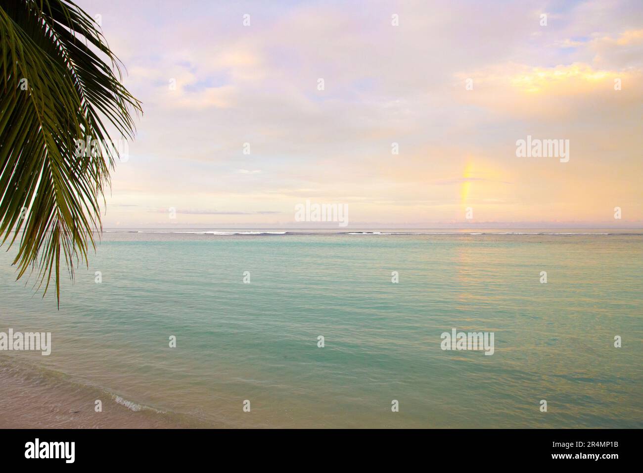 Feuilles de palmier au coucher du soleil de couleur douce près de la plage, Samoa Banque D'Images