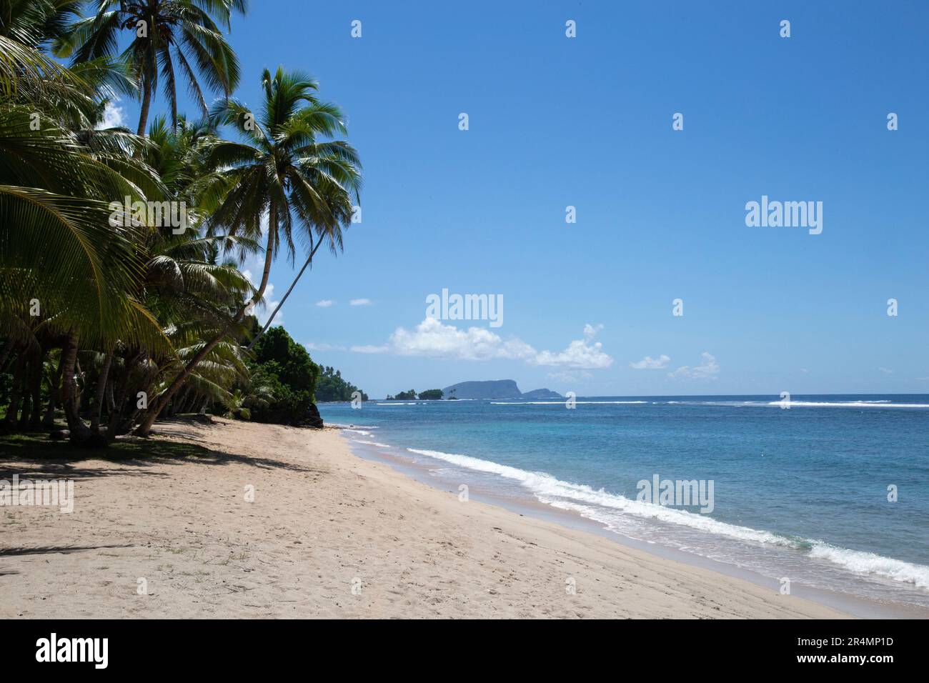 Vaste plage de sable vide, avec palmiers pendu, Samoa, Pacifique Sud Banque D'Images