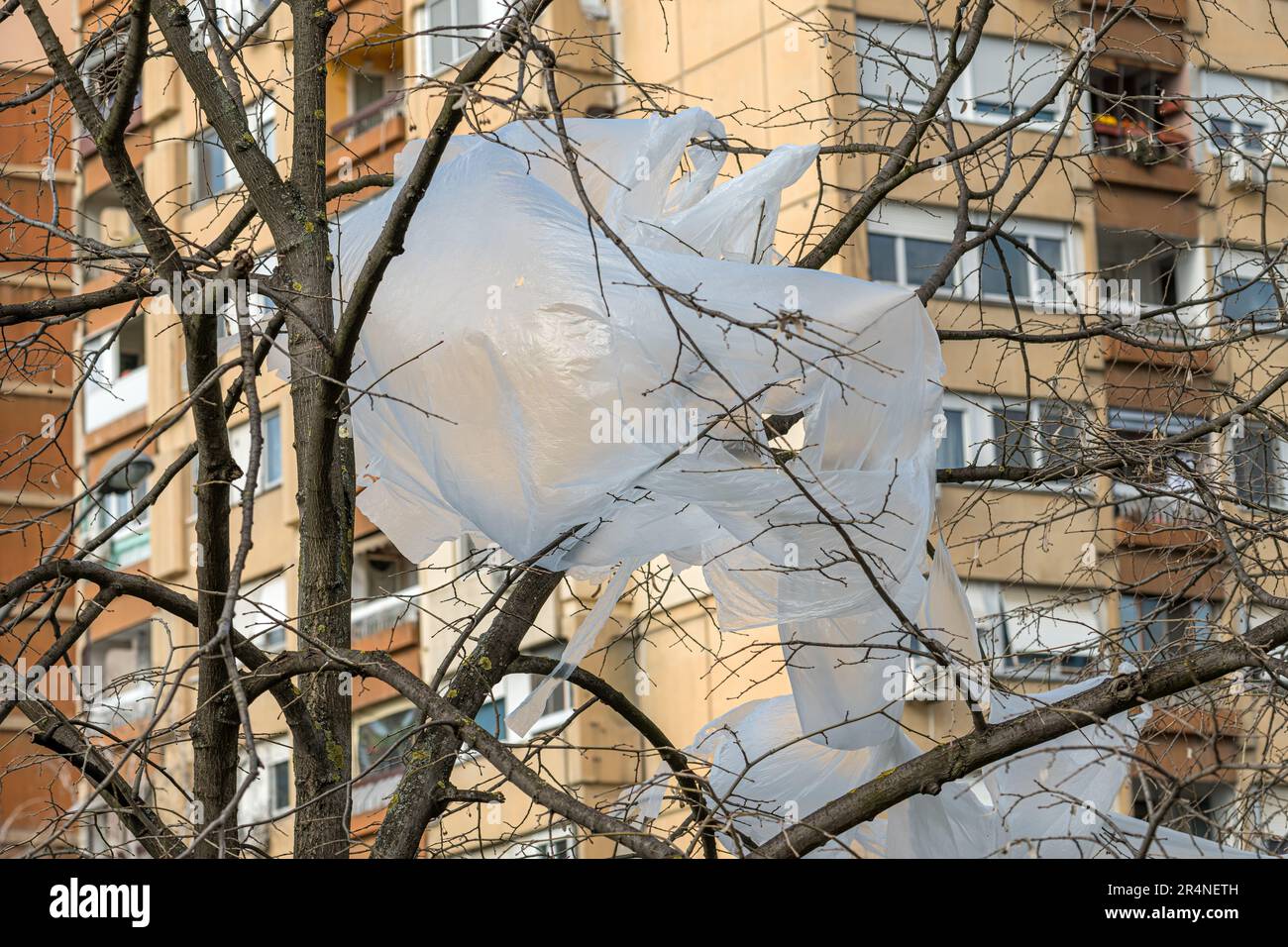 Matériau d'emballage en plastique dans la cime d'arbres sur la rue avec l'immeuble d'appartements en arrière-plan, foyer sélectif Banque D'Images