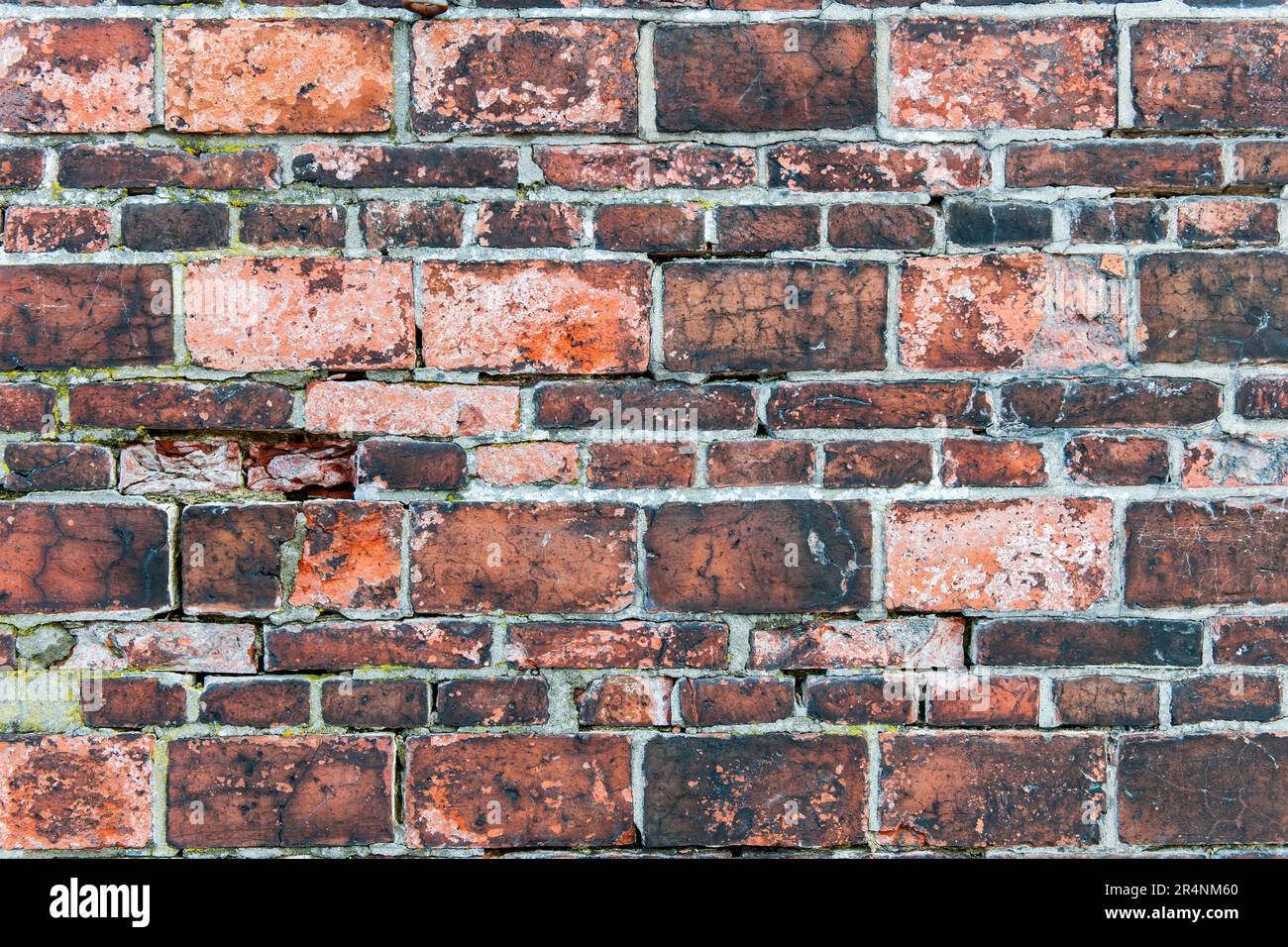Vue frontale entièrement encadrée d'un mur de briques abîmé, avec deux formats latéraux différents et joints intacts. Banque D'Images