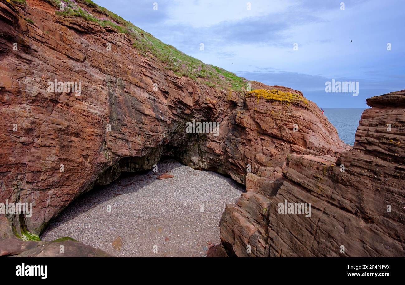 Entrée d'eau abritée au milieu de hautes falaises de grès à Seaton Cliffs Banque D'Images