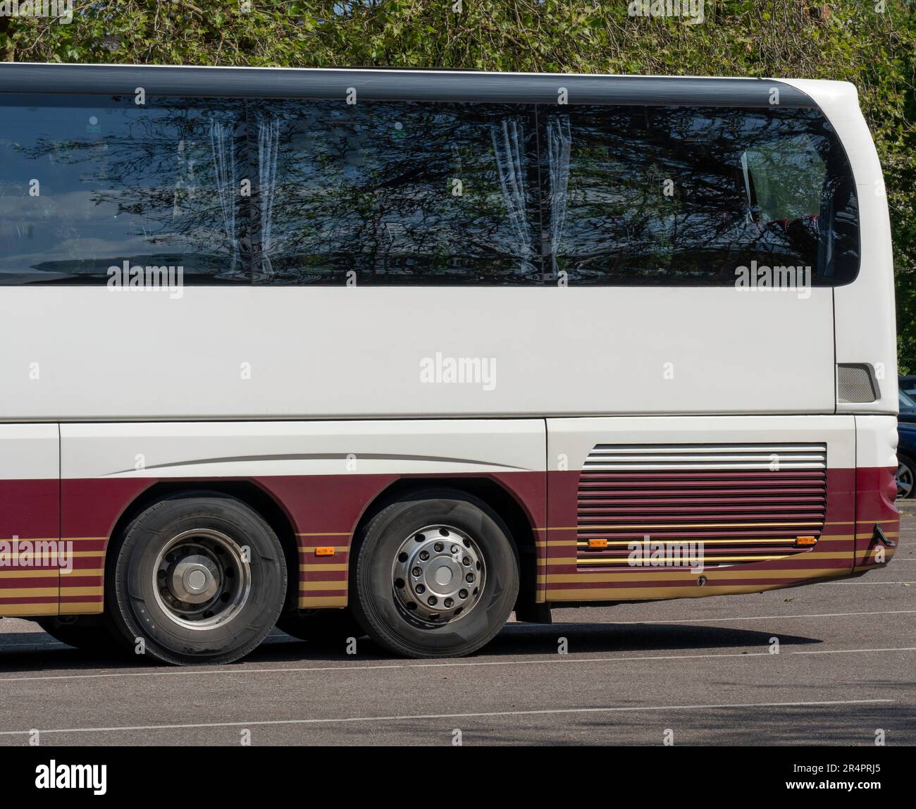 Bus de voyage blanc (bus) garés dans un parking Banque D'Images