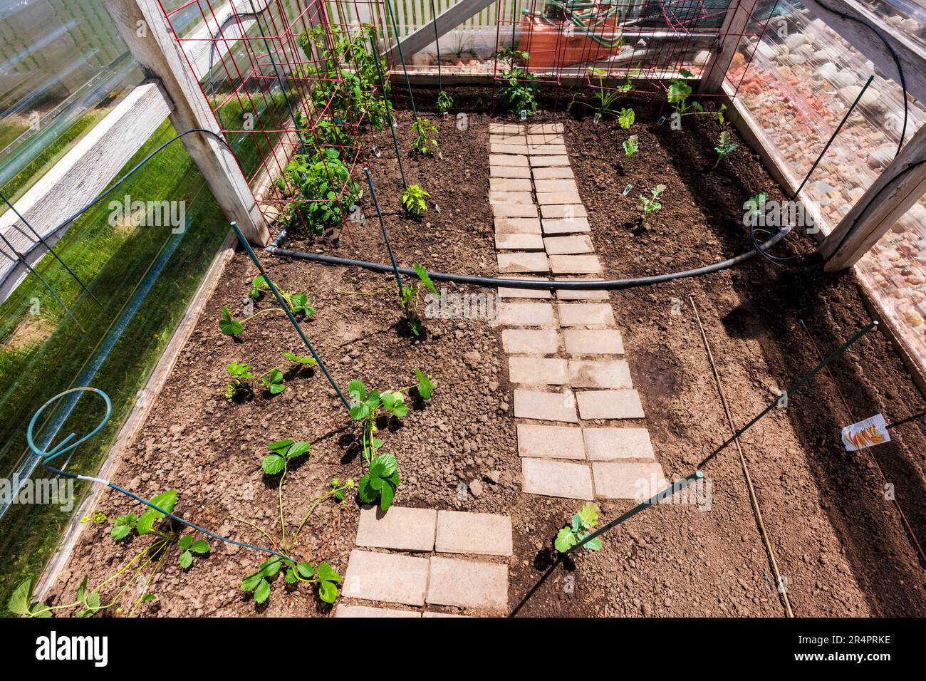 Jardin potager résidentiel fraîchement planté. Banque D'Images
