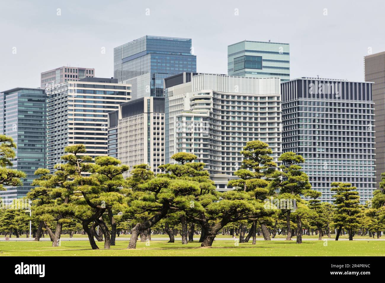 Jardin national de Kokyo Gaien, les jardins extérieurs du Palais impérial de Tokyo, au Japon, avec des gratte-ciels en arrière-plan Banque D'Images