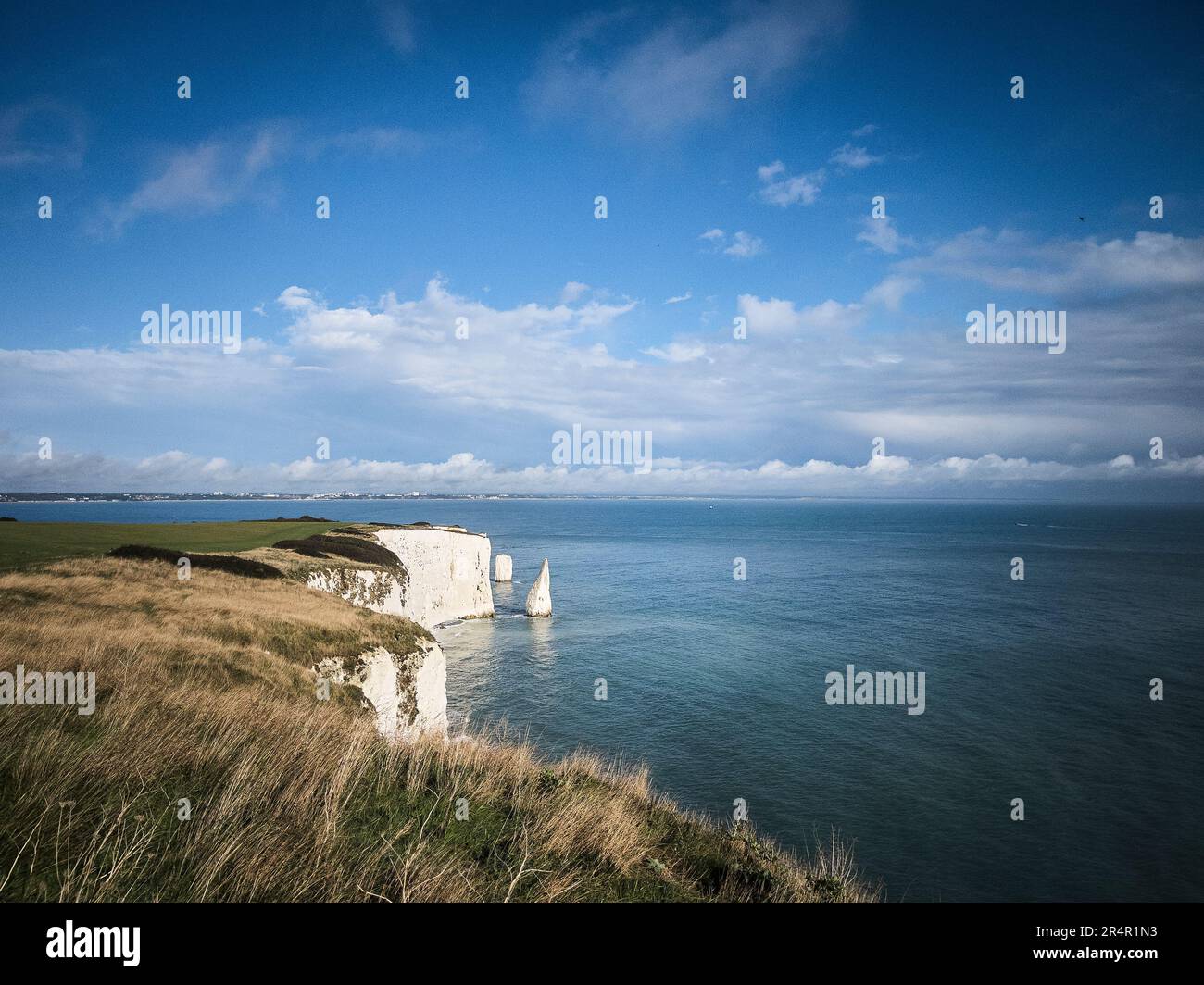 Handfast point, également connu sous le nom de Foreland, près de Studland, Dorset, Royaume-Uni. Les roches blanches sont connues comme Old Harry et la femme de Old Harry. Banque D'Images