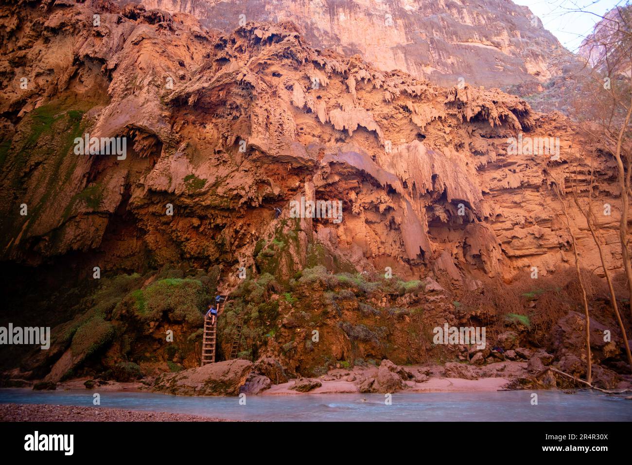 Les randonneurs grimpent sur les échelles dangereuses depuis les chutes Mooney, sur le ruisseau Havasu, sous le terrain de camping, un matin ensoleillé. Supai, Arizona, États-Unis. Banque D'Images