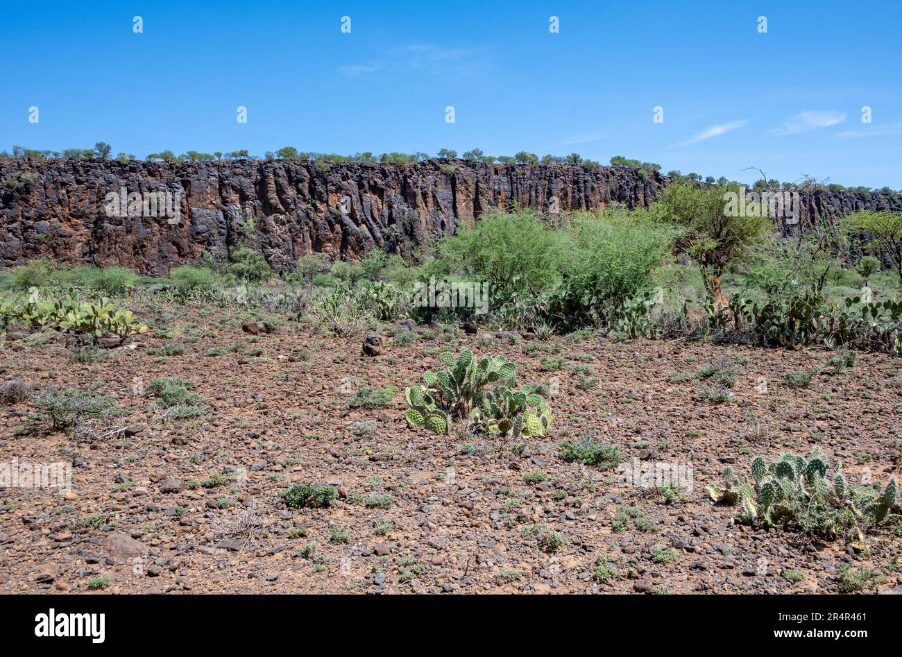 Roches métamorphiques du Précambrien exposées le long de la vallée du Rift en Afrique de l'est. Kenya, Afrique. Banque D'Images