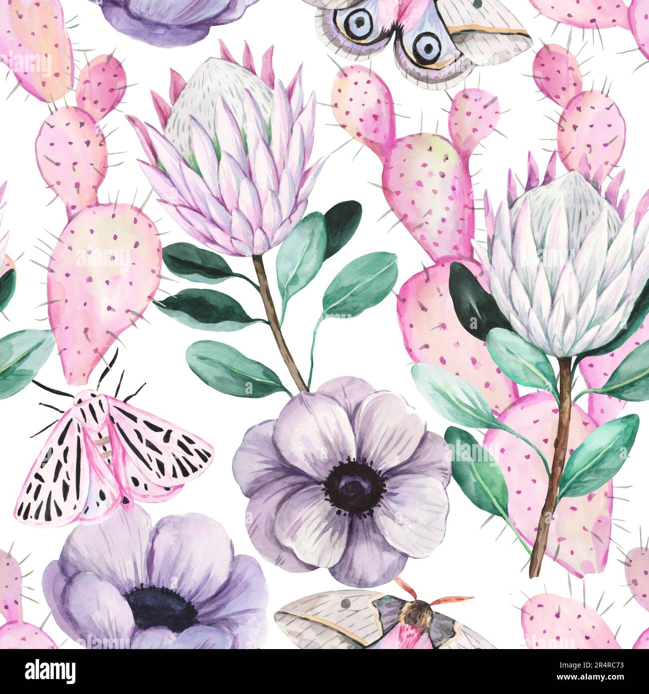 Motif aquarelle sans couture avec opuntia cactus rose pastel, fleurs protea, papillons et papillons mignons. Aquarelle dessin à la main illustration détaillée. Banque D'Images